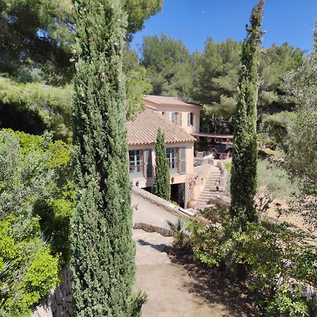 Villa Des Oliviers ساناري سور مير المظهر الخارجي الصورة