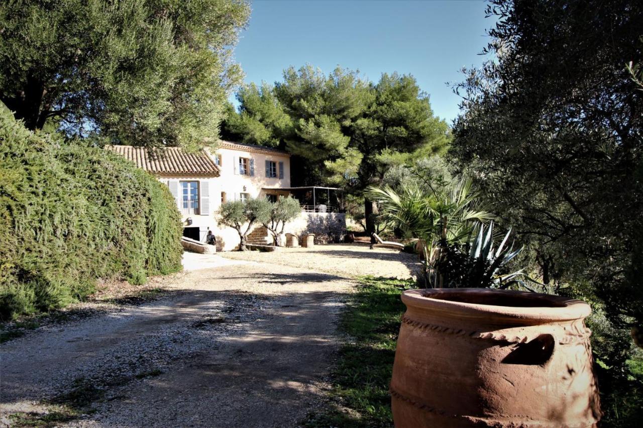 Villa Des Oliviers ساناري سور مير المظهر الخارجي الصورة