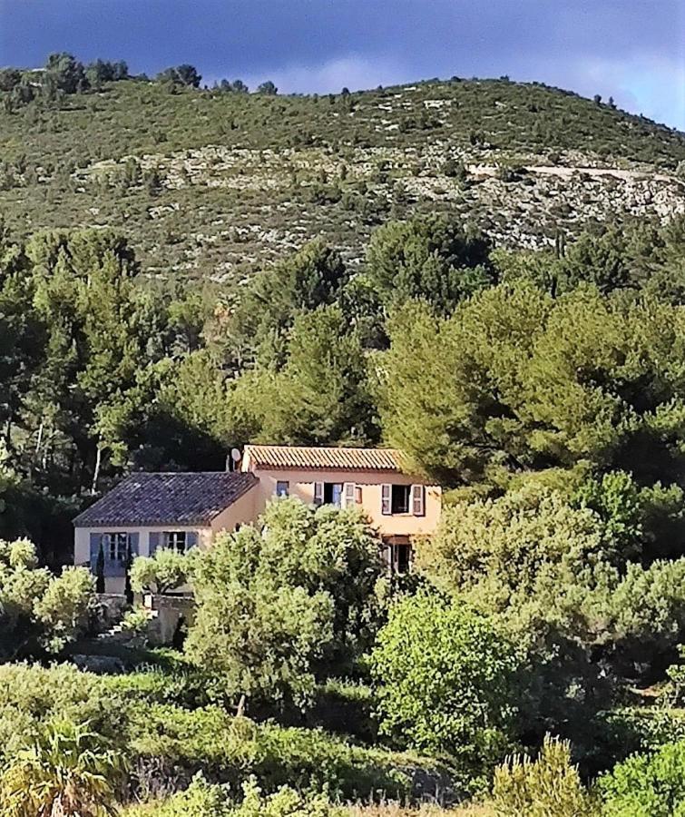 Villa Des Oliviers ساناري سور مير المظهر الخارجي الصورة