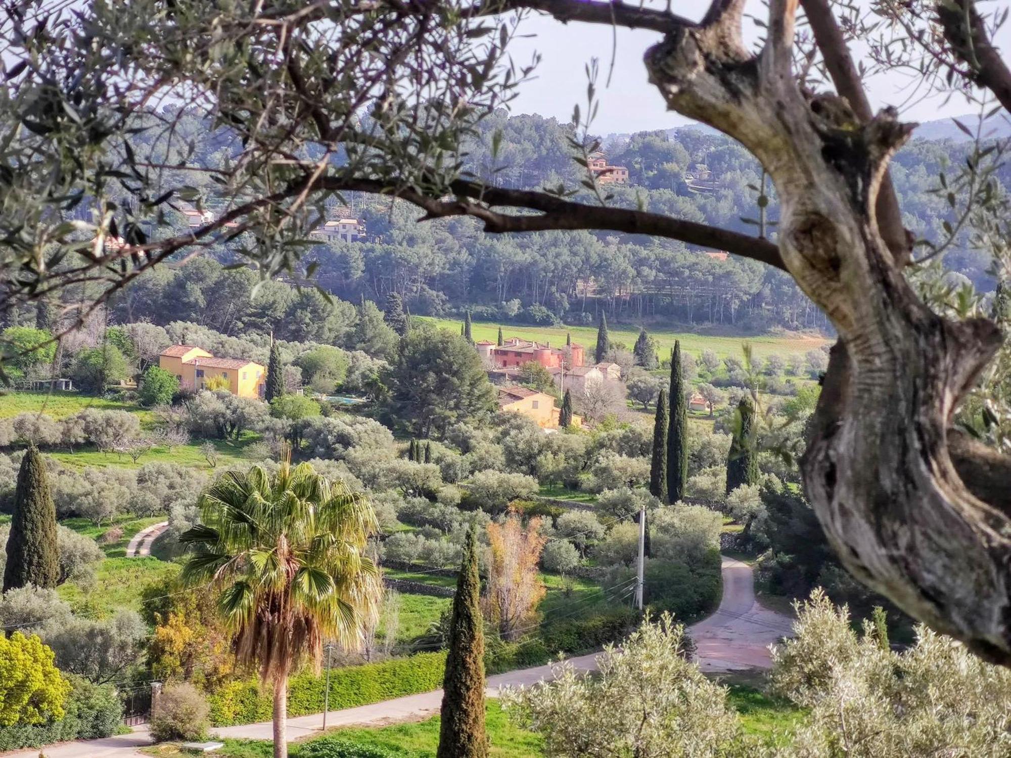 Villa Des Oliviers ساناري سور مير المظهر الخارجي الصورة